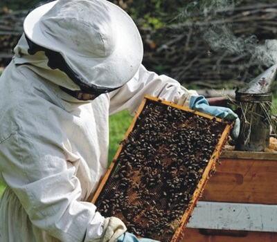 Beekeeping